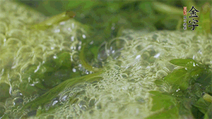 艾草葉放入煮沸的水中，加點食用堿，待變成深綠色時撈出，放入冰水中，瀝干備用。