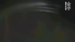 剝去外殼的筍、切花刀的香菇、豌豆入沸水焯水。