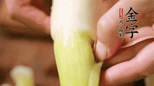 茭白剝?nèi)ネ鈿?，先切片再切絲。