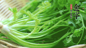 挑選鮮嫩的香菜，洗干凈后，處理成小段。