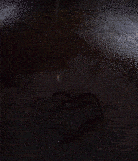 冷鍋熱油，下蒜片爆香，下香腸、玉米筍、蓮藕、西芹爆炒，期間加點(diǎn)水，翻炒1分鐘后加新鮮百合片，翻炒30秒。