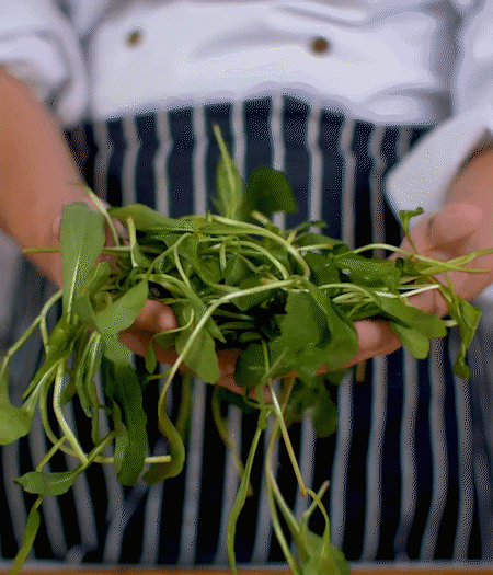 馬蘭頭焯水，切成細(xì)末。